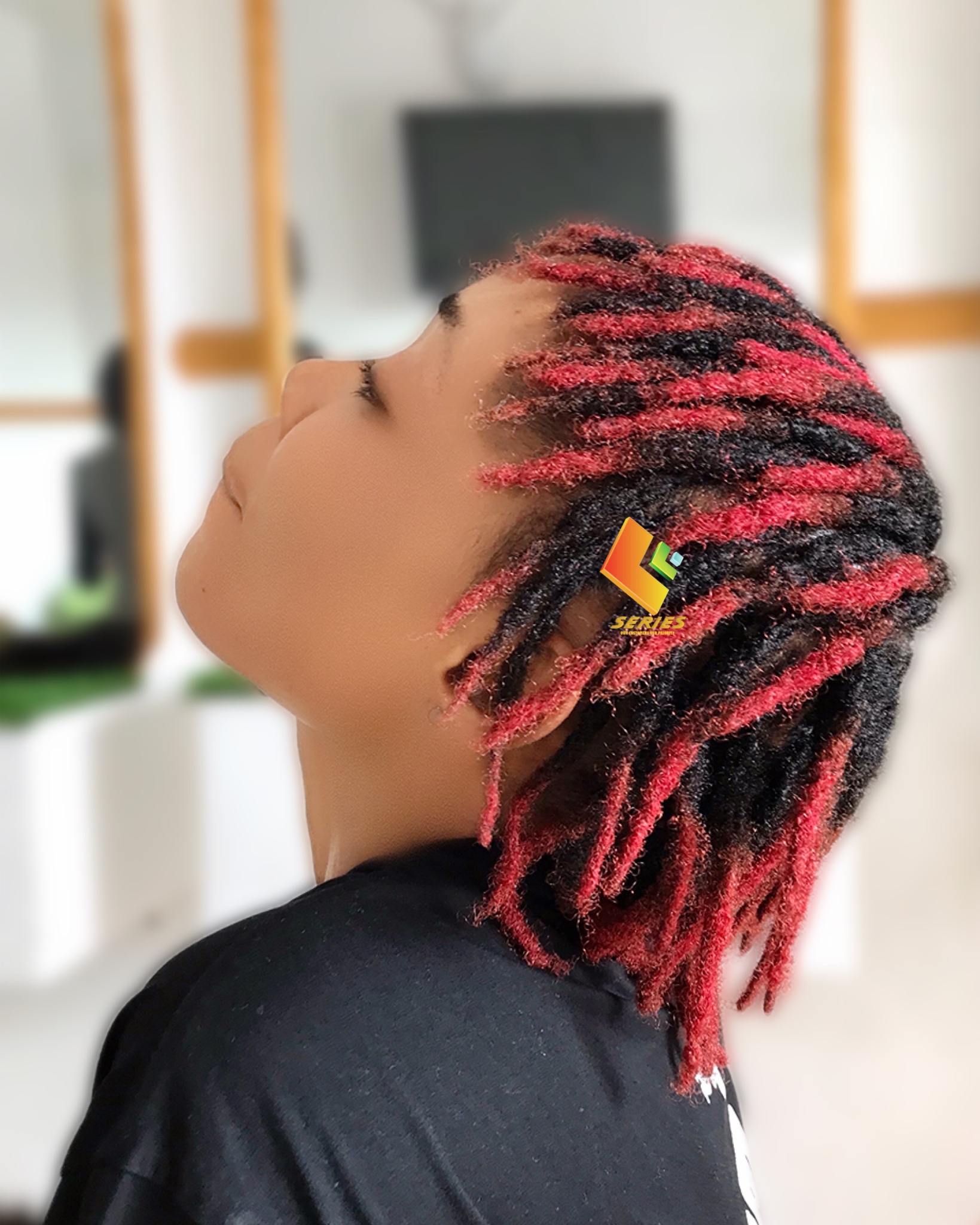 Series Jamaican Locs provider