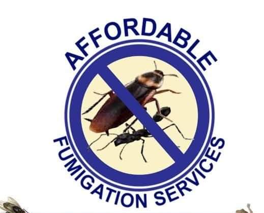 BEDBUGS ERADICATOR provider