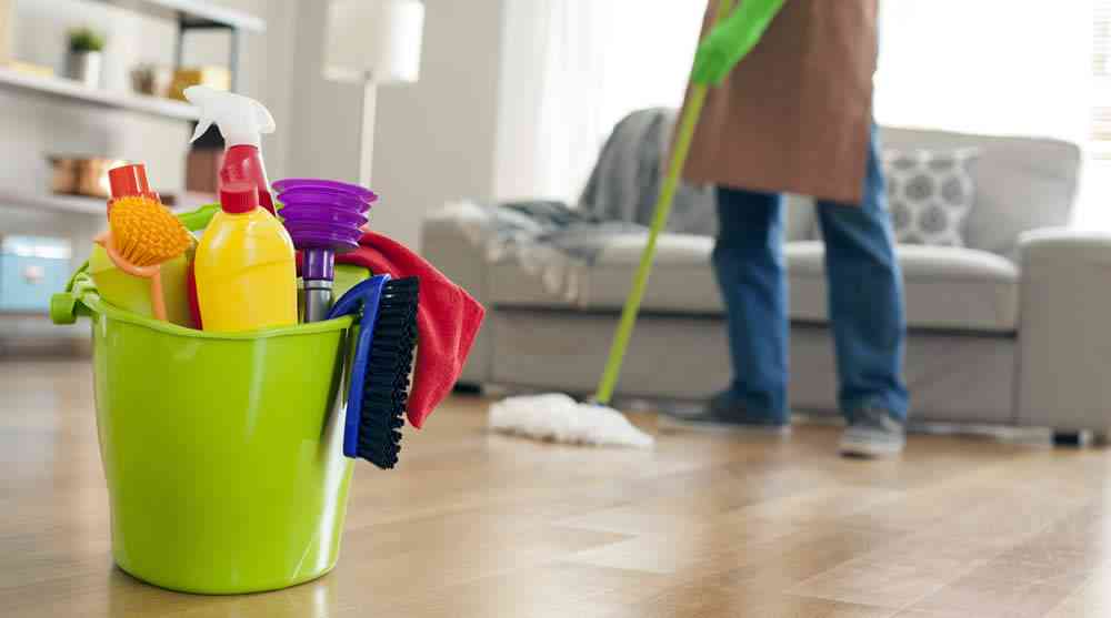 Professional Home Cleaning