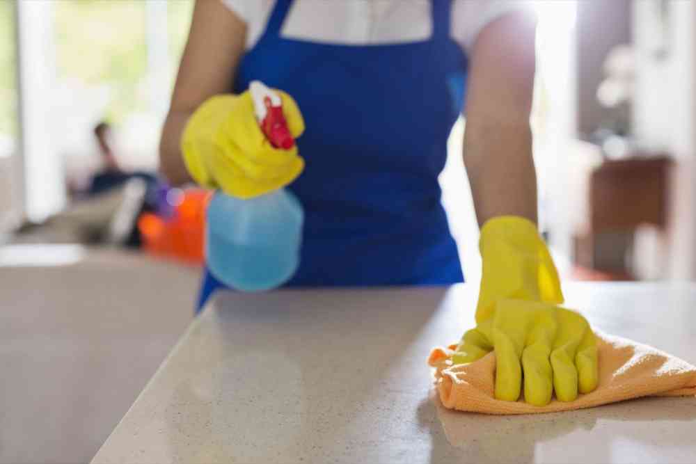 Professional Home Cleaning