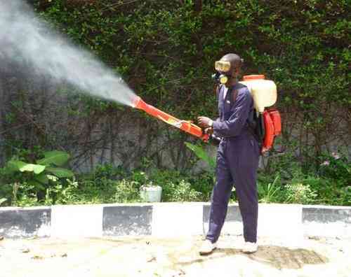 Fumigation & Pest Control (Get rid of all kinds of pests)