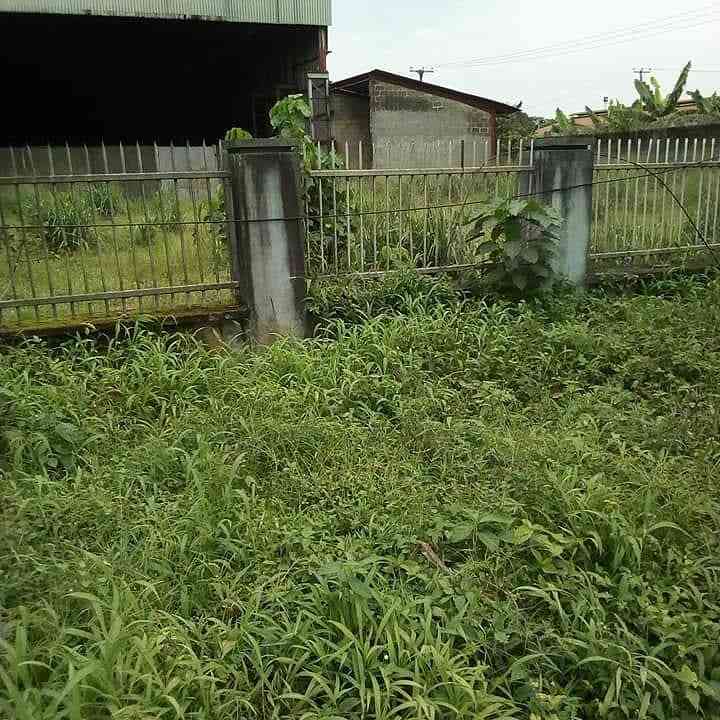 Nyemahame