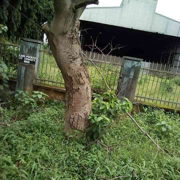 Nyemahame
