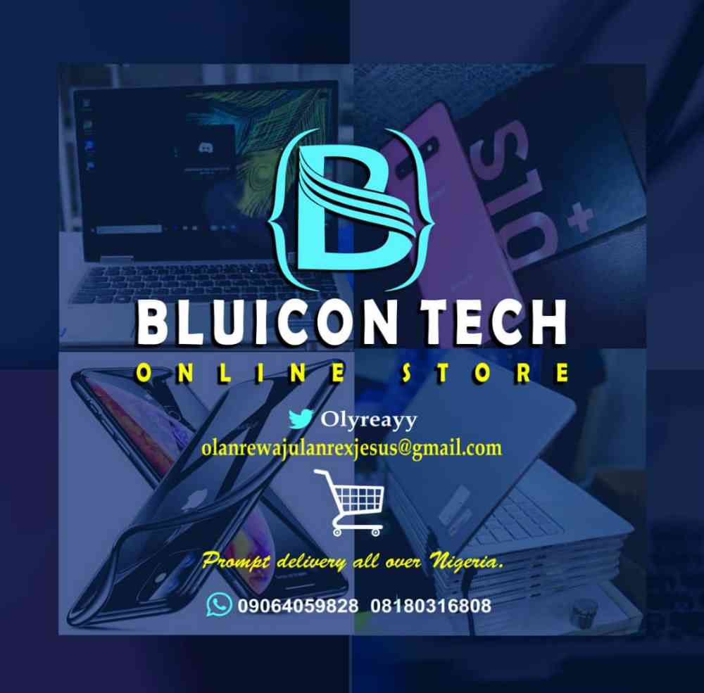 BluIcon IT Services