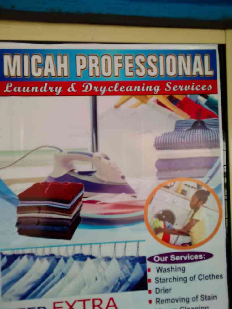Micah professional laundry and dry cleaning services picture