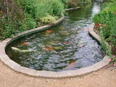 Construction of Fish Ponds