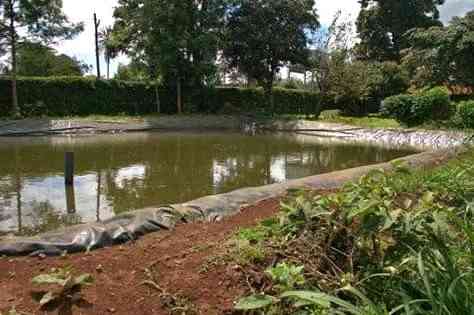 Construction of Fish Ponds