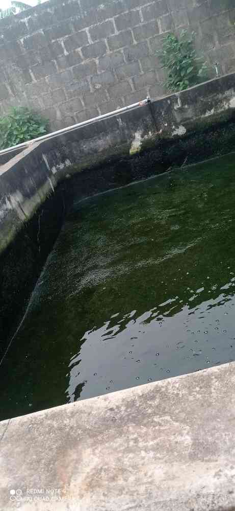 Fish farming
