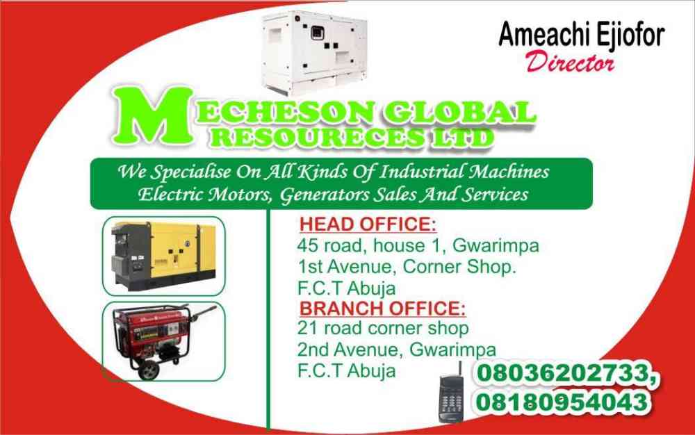 MECHESON GLOBAL RESOUCES LTD