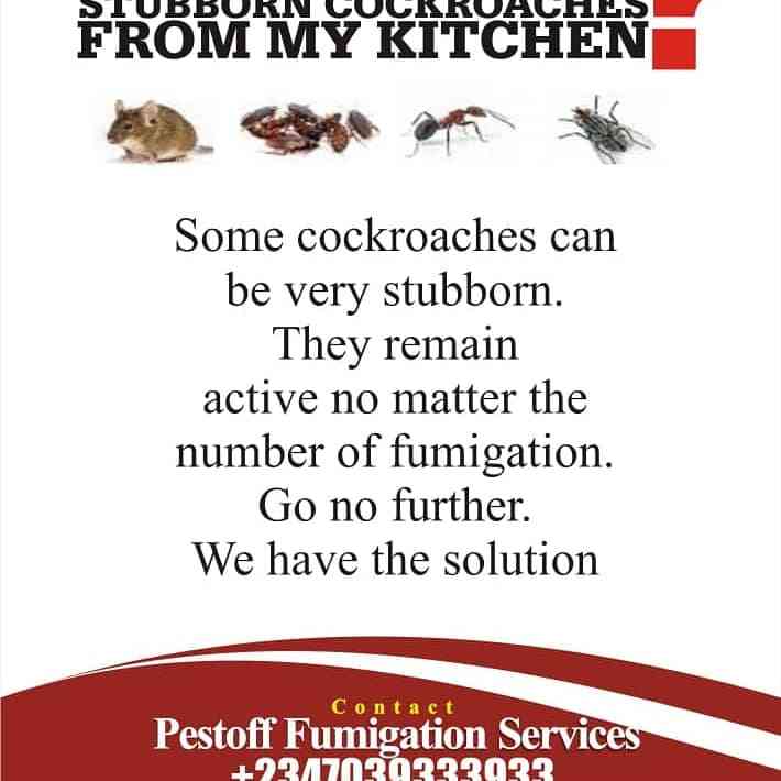 Pestoff Fumigation and Cleaning Services