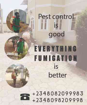 Everything Fumigation picture