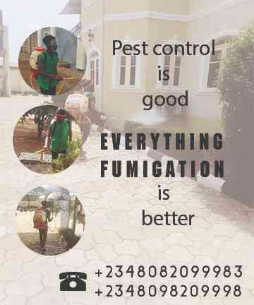 Everything Fumigation