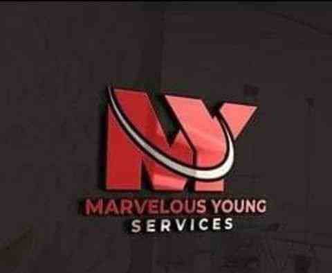 Marvelous Young Services a computer Service provider company picture