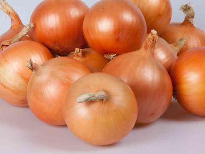 Agro Hortiponics
