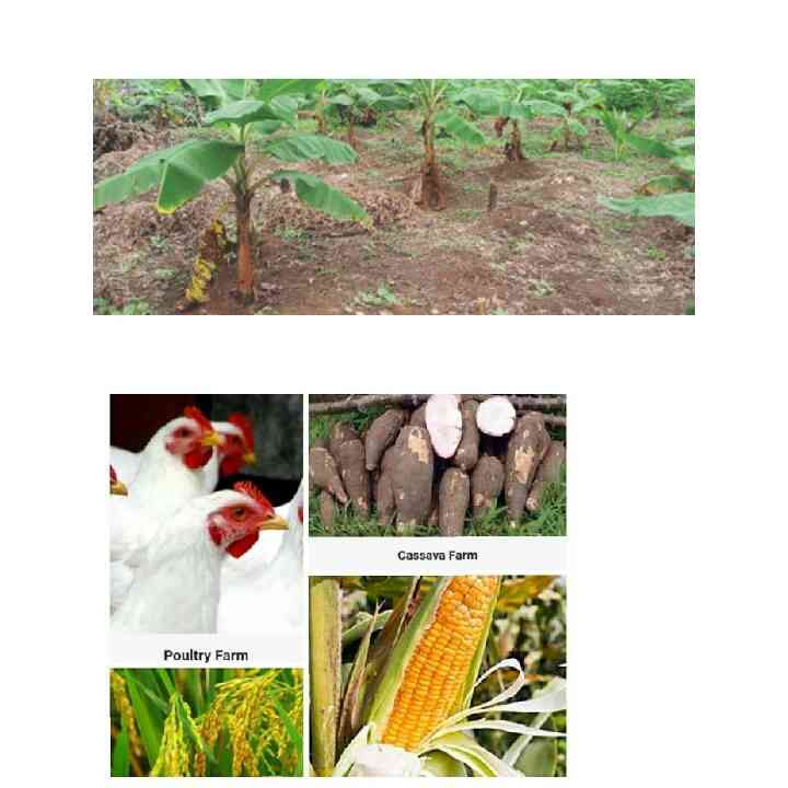 Farm Influent Plus Agro Hub