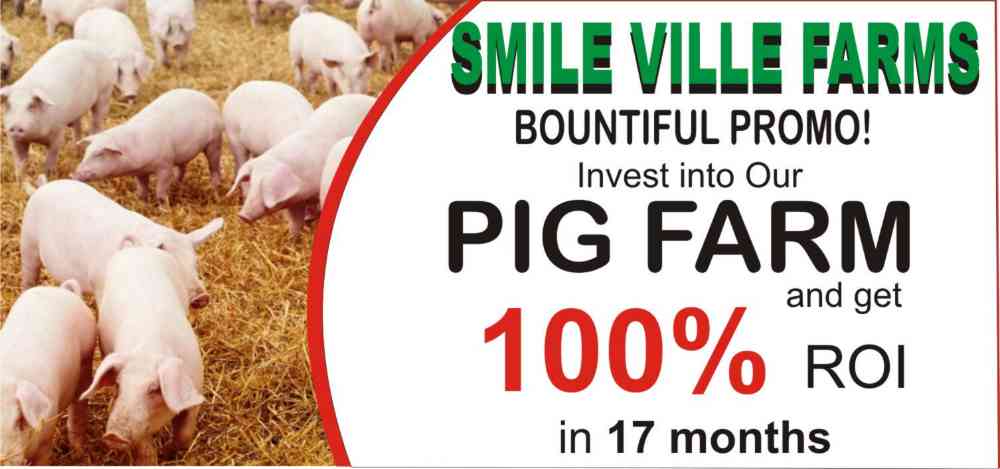 Smile Ville Farms