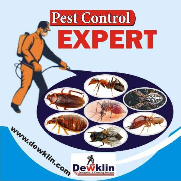 Dewklin Pest Control and Cleaning Services