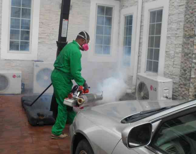 Phase 1 Fumigation & cleaning services