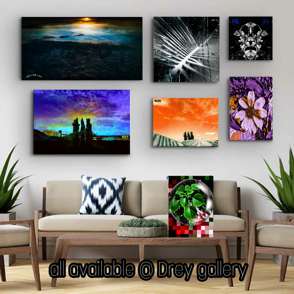 Drey gallery