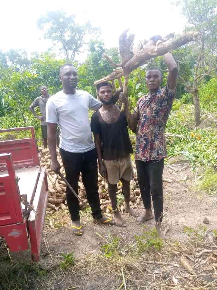 Ejigs Garri business picture