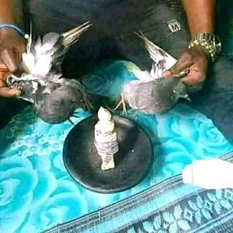 The Best Spiritual Man And Native Doctor In Nigeria