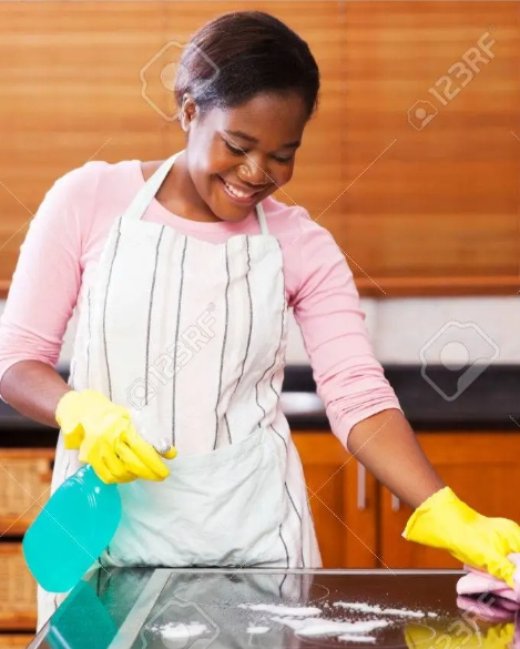 C-NOVIA'S MAID SERVICES