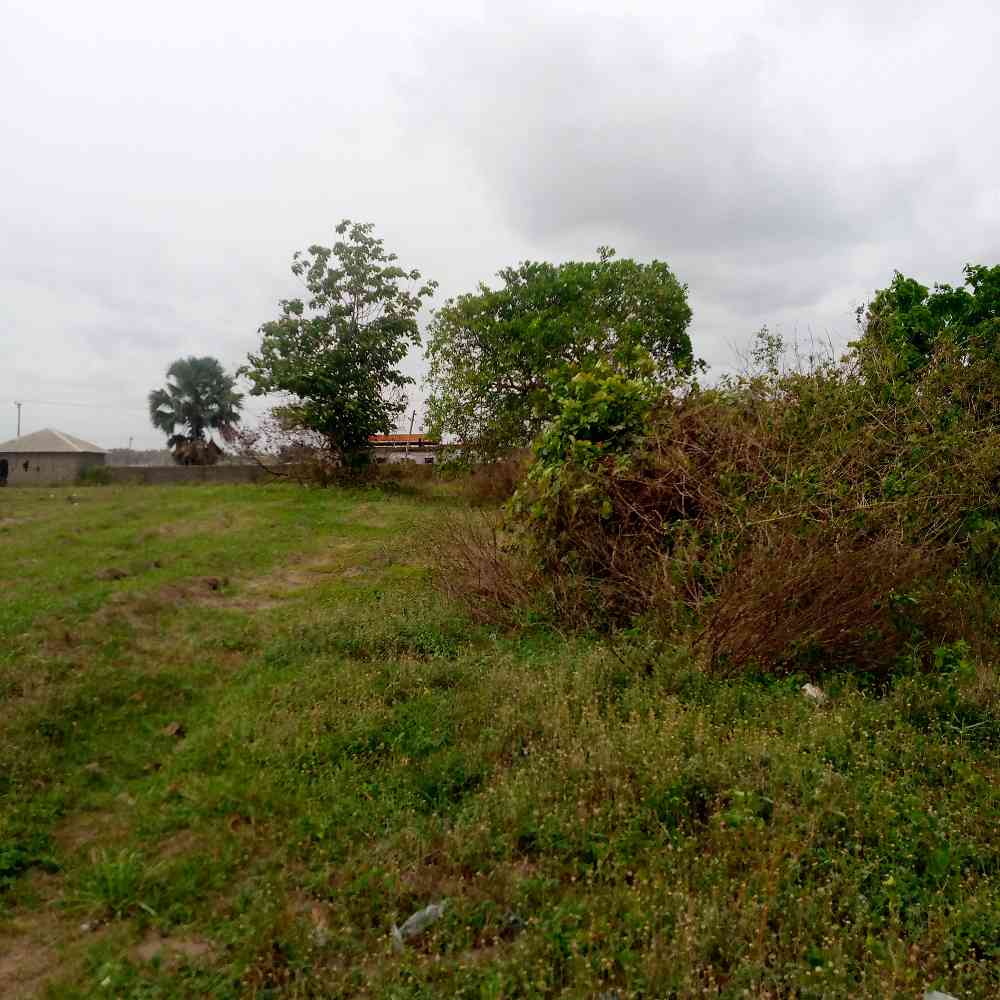 Buy Landed Property in Lagos Nigeria