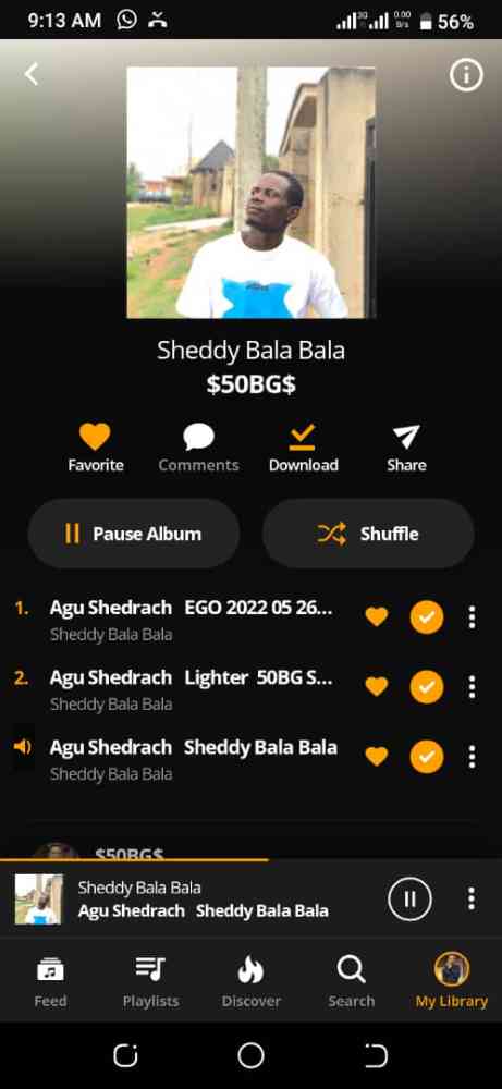 Sheddy bala