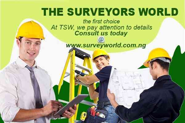 The Surveyors World