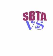 SB TA VENTURES SERVICES