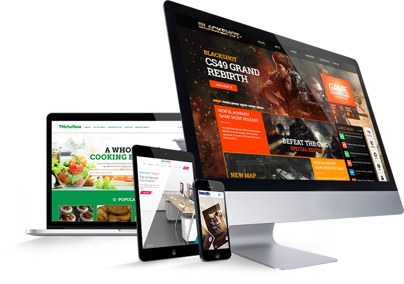 Premuim Web design at Affordable Price