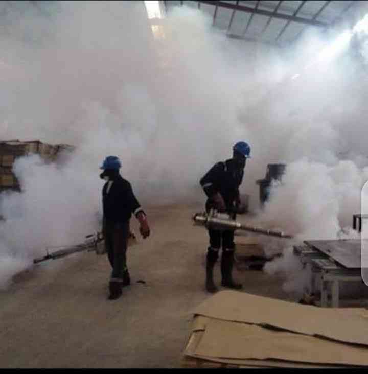 Fumigation services picture