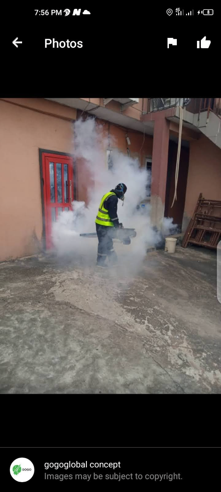 Fumigation services