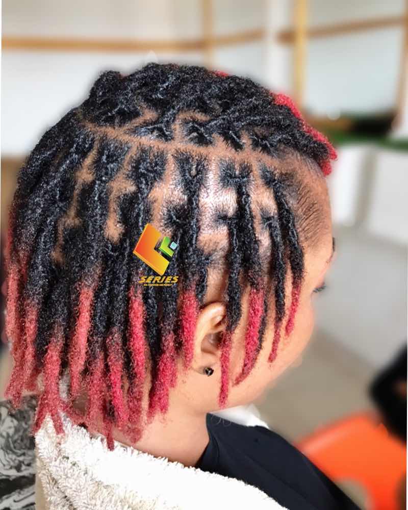 Series Jamaican Locs