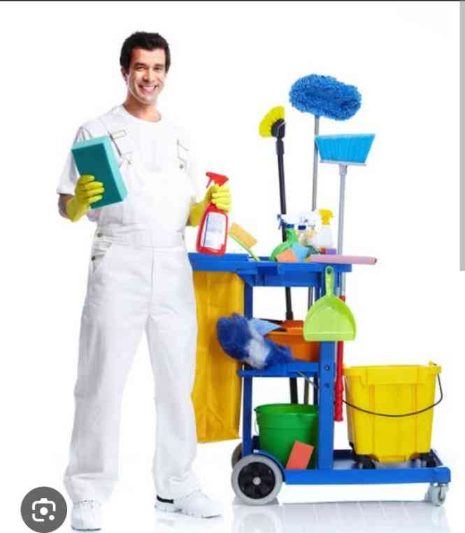 Dethel cleaning and fumigation services