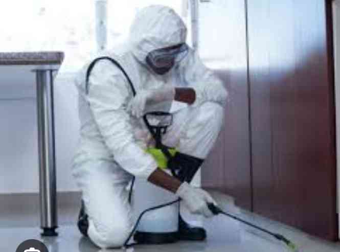 Dethel cleaning and fumigation services