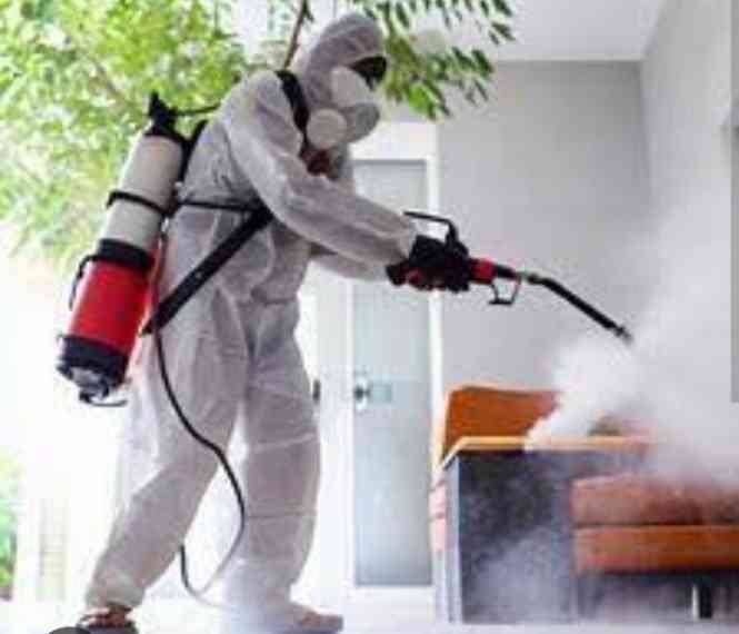 Dethel cleaning and fumigation services