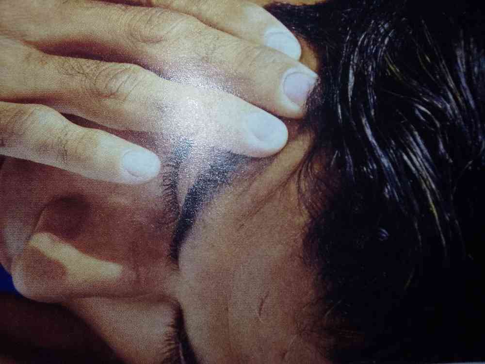 Wakefulness and integration center picture