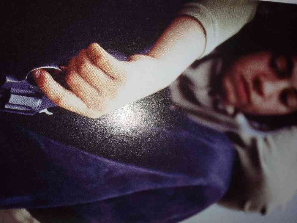 Wakefulness and integration center