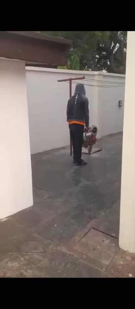 Jolag cleaning and fumigation services