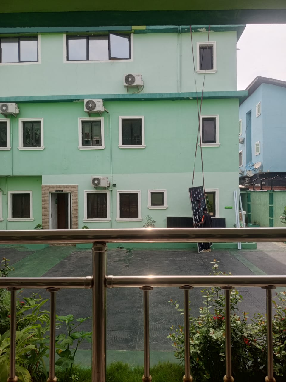 wall paper, house painter