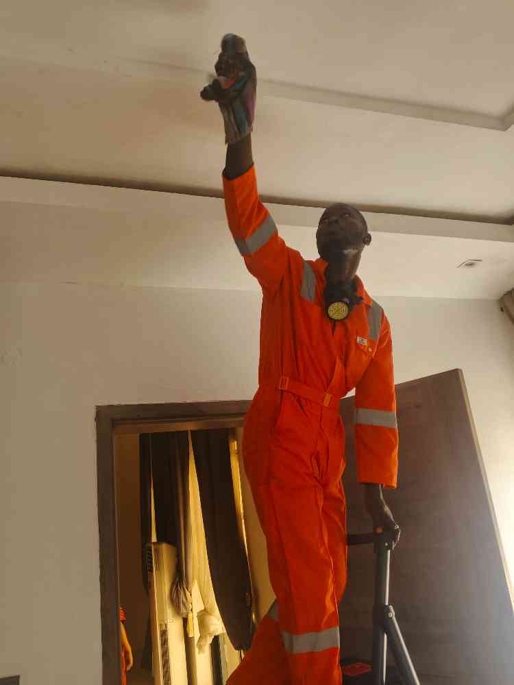 The Don Integrated Services Ltd