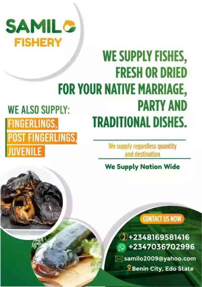 samilo Fishery Ltd
