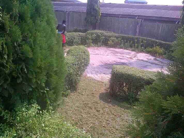 Horticultural Services