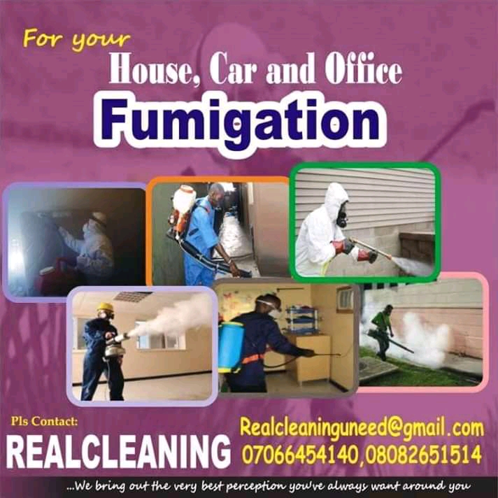 Realcleaning picture