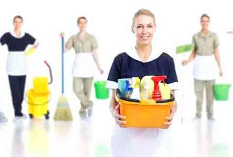 Temi. B cleaning service