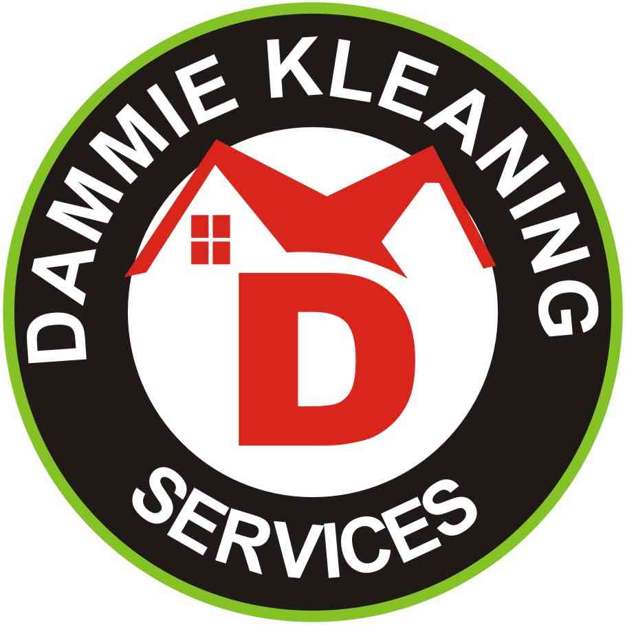 Dammie kleaning services