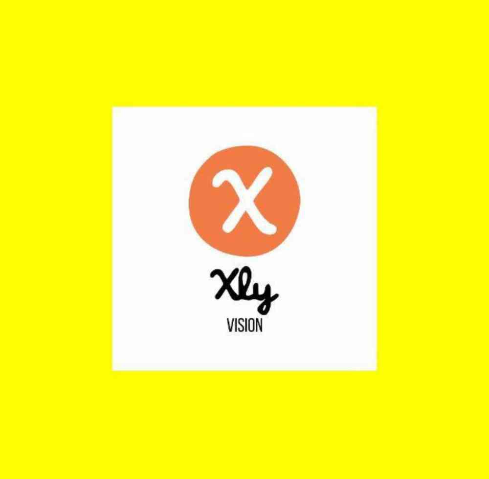 XLY VISION LTD picture