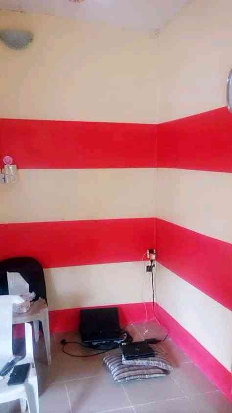 Rapheal d wall finishing