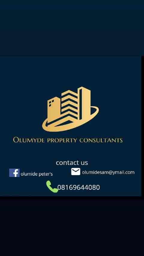 Olumyde property consultant picture